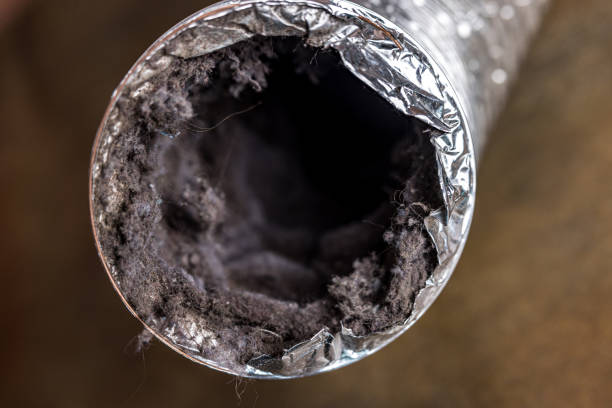 Best Affordable Duct Cleaning Services  in El Lago, TX
